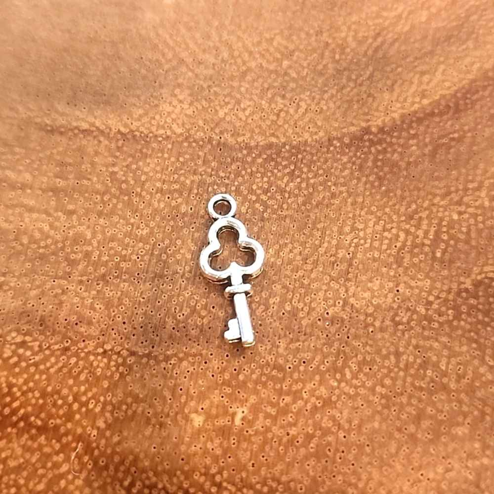 CELLPHONE ACCESSORIES/ NWOT - Picture 8 of 8